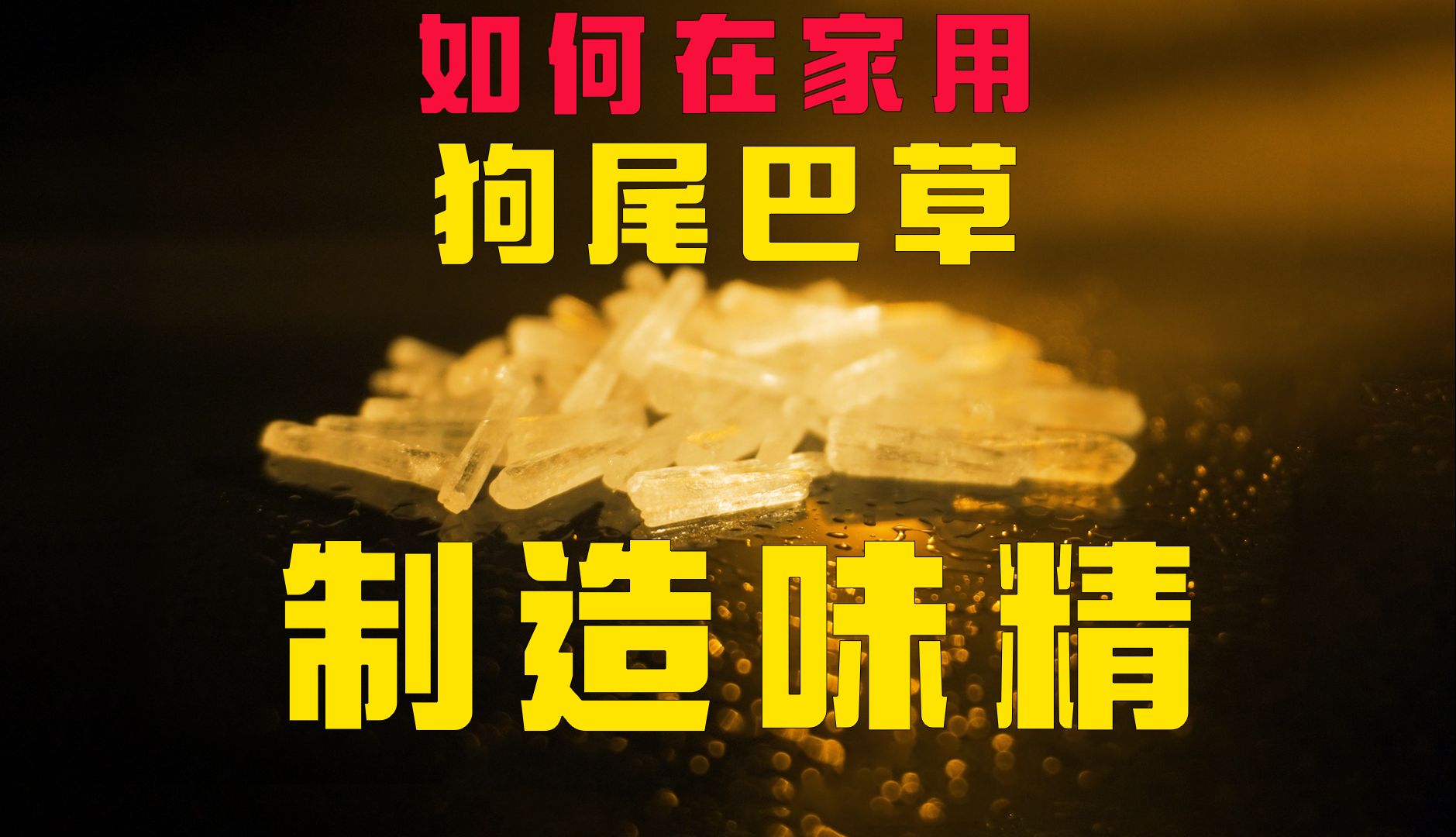 如何在家用狗尾巴草制造味精