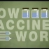 【Ted-ED】疫苗的运作原理 How Do Vaccines Work