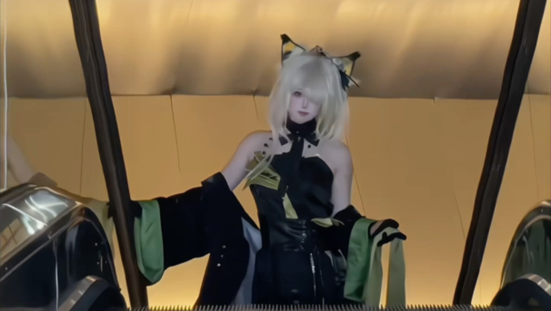 时尚老猞猁