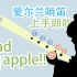 【爱尔兰哨笛教程】Bad apple!-东方 新手快慢双速指法详解教程【熊猫教程】