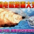 中国电磁炮百吨巨炮震撼亮相，核心技术超越美国10年，7马赫射速颠覆海战规则创世界奇迹！