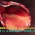 【中英文双语字幕版】【3D医学动画】新冠肺炎 COVID-19 动画：如果你感染了新型冠状病毒会怎样？