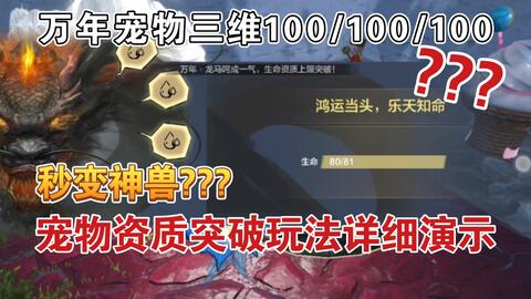 梦境寻回，解析梦见找回丢失的物品的深层预兆