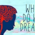 【TED科普】我们为什么会做梦？（中英字幕）