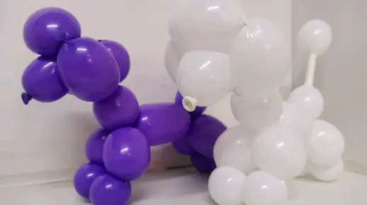 气球入门教程小狗