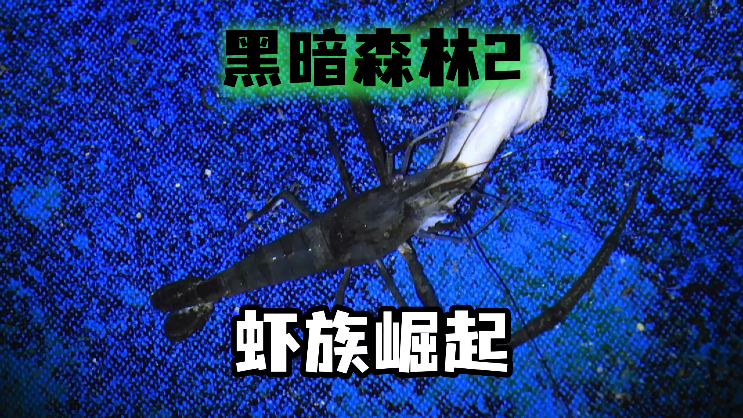 1000种生物混战，手撕天外之魔，猎杀清道夫，低阶虾族崛起！｜【黑暗森林2】