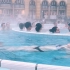 在布达佩斯城堡里泡露天温泉是个什么感觉？像不像群体水上芭蕾？