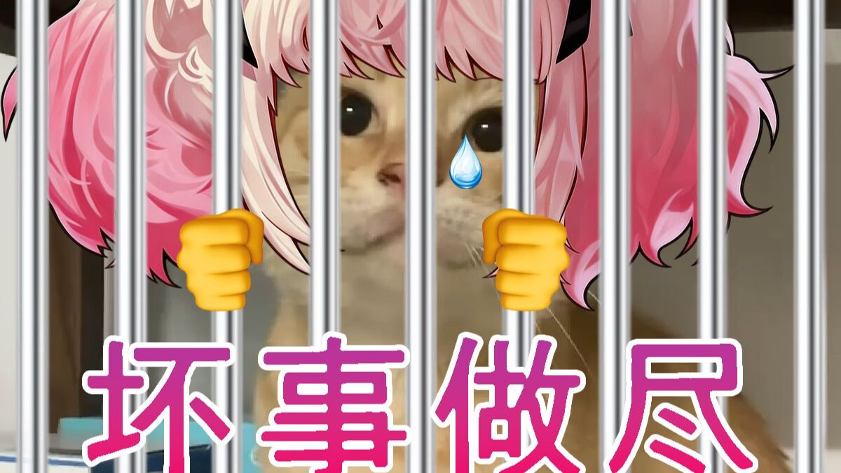 想要“阿拉德坏猫“的偏爱吗？