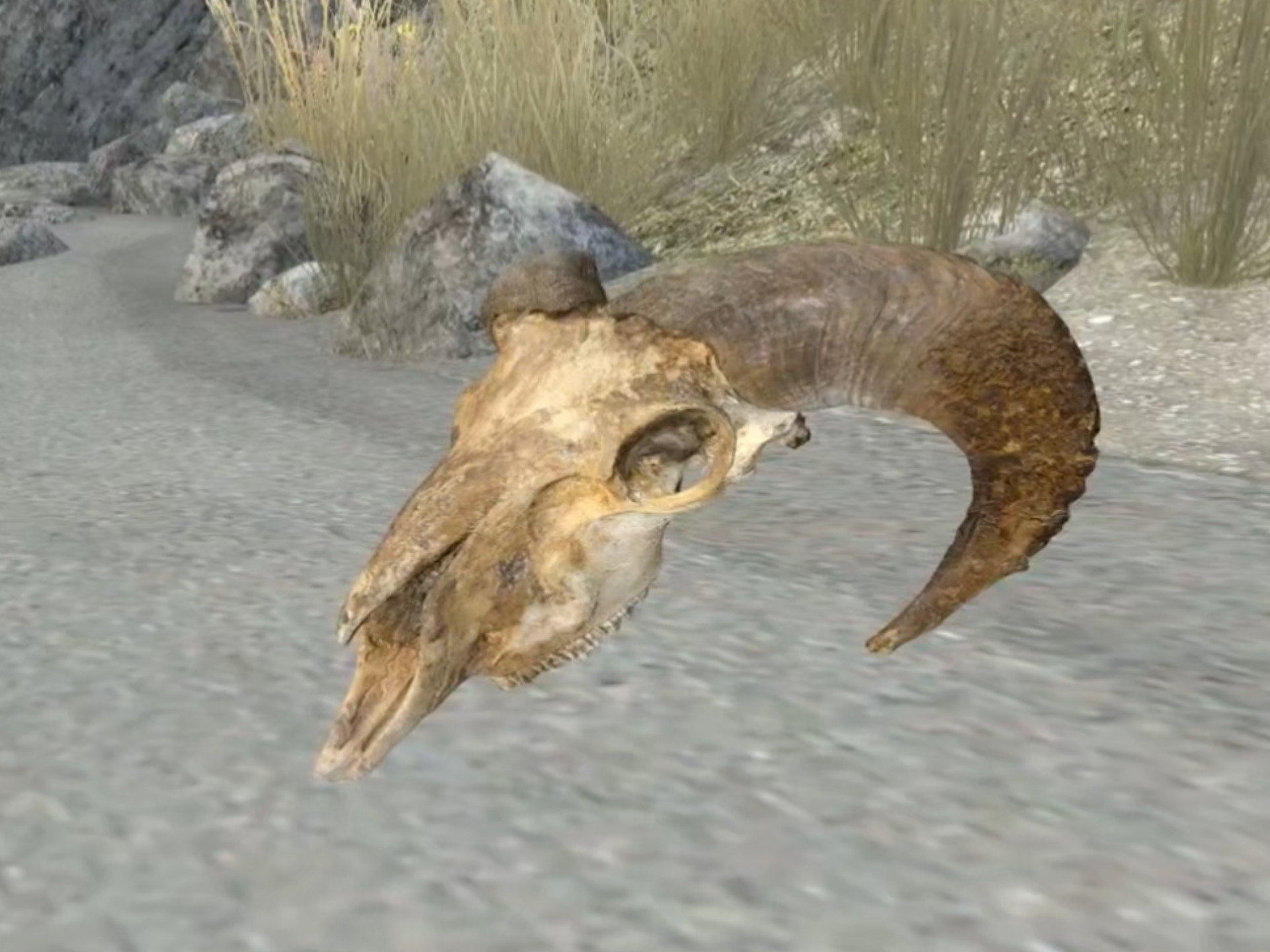 请永远都别戴上SCP-323 温迪戈的头骨(原视频名为Never Wear SCP-323 Wendigo Skull)