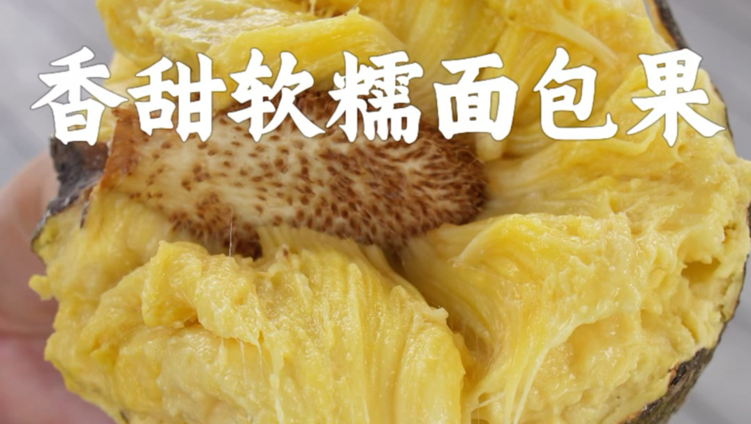 长在树上的“面包”，成熟以后就像会拉丝的奶酪。
