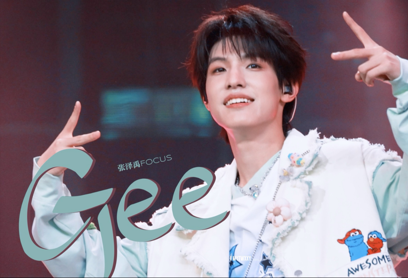 GEE｜张泽禹4K直拍｜2024TF家族三代登陆计划演唱会“登陆时刻”