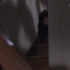 《咒怨》最恐怖片段 贞子姐姐从楼梯上爬下来