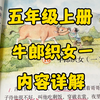 五年级上册：牛郎织女的故事你知道吗？它跟七夕节又有什么关系呢？一起来了解一下吧