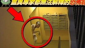dd0acd3587862d6dffdee6b0e1881a0d0fb39076.jpg@280w_158h_1c_100q.jpg