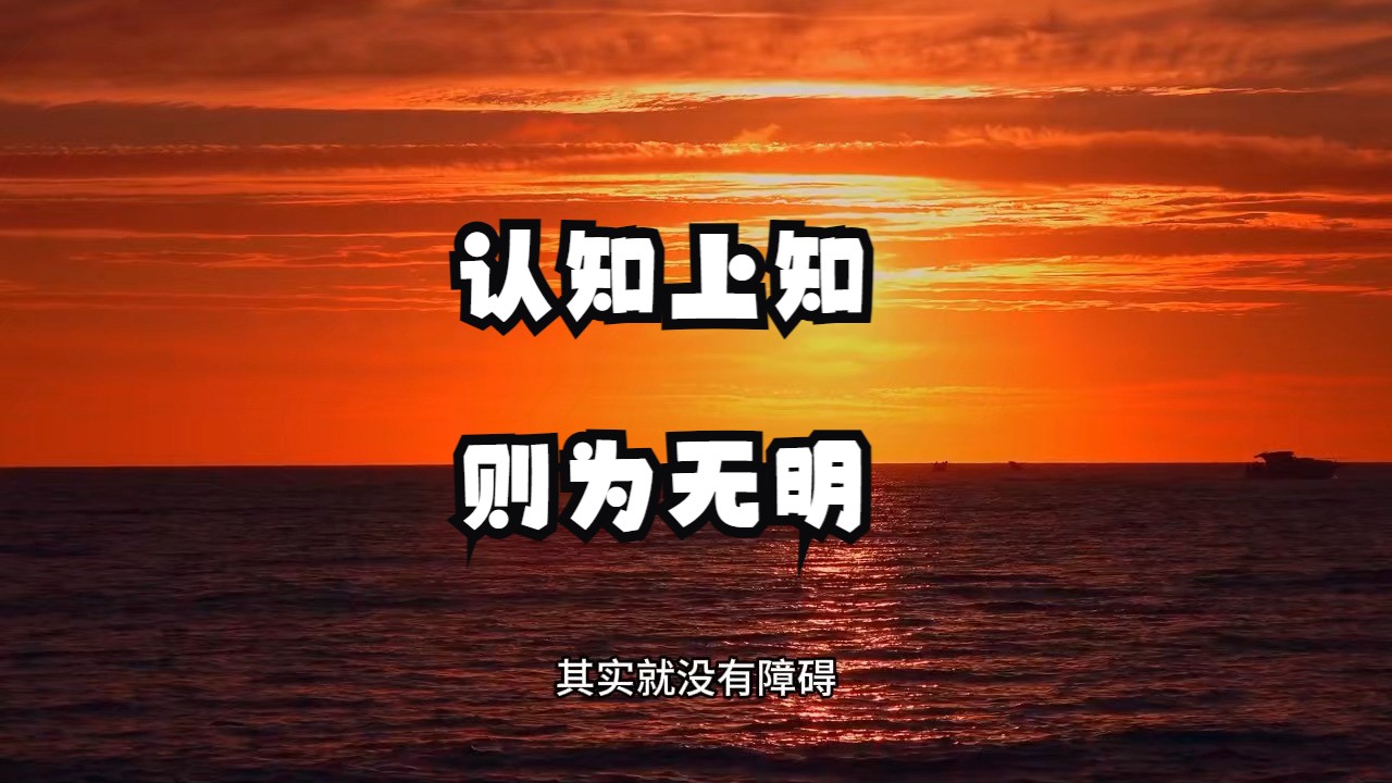 为什么说关停大脑后，你才能活出内在的神性？认知上知，则为无明！