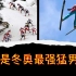 谁是冬奥最强猛男？北京冬奥会北欧两项盘点