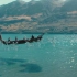 新西兰航空官方宣传「会飞的独木舟」