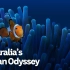 【澳洲/CC英字】澳大利亚的海洋冒险之旅 第1季