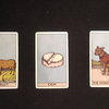 【猫卷Tarot】未来一个月，和ta的发展