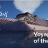 |【LinsCraft】|【RCI公司】| Voyager of the Seas