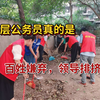 终于知道为什么基层留不住人了，做梦都是在被领导压榨熬夜加班..遴选上岸省直后，打开了新世界的大门