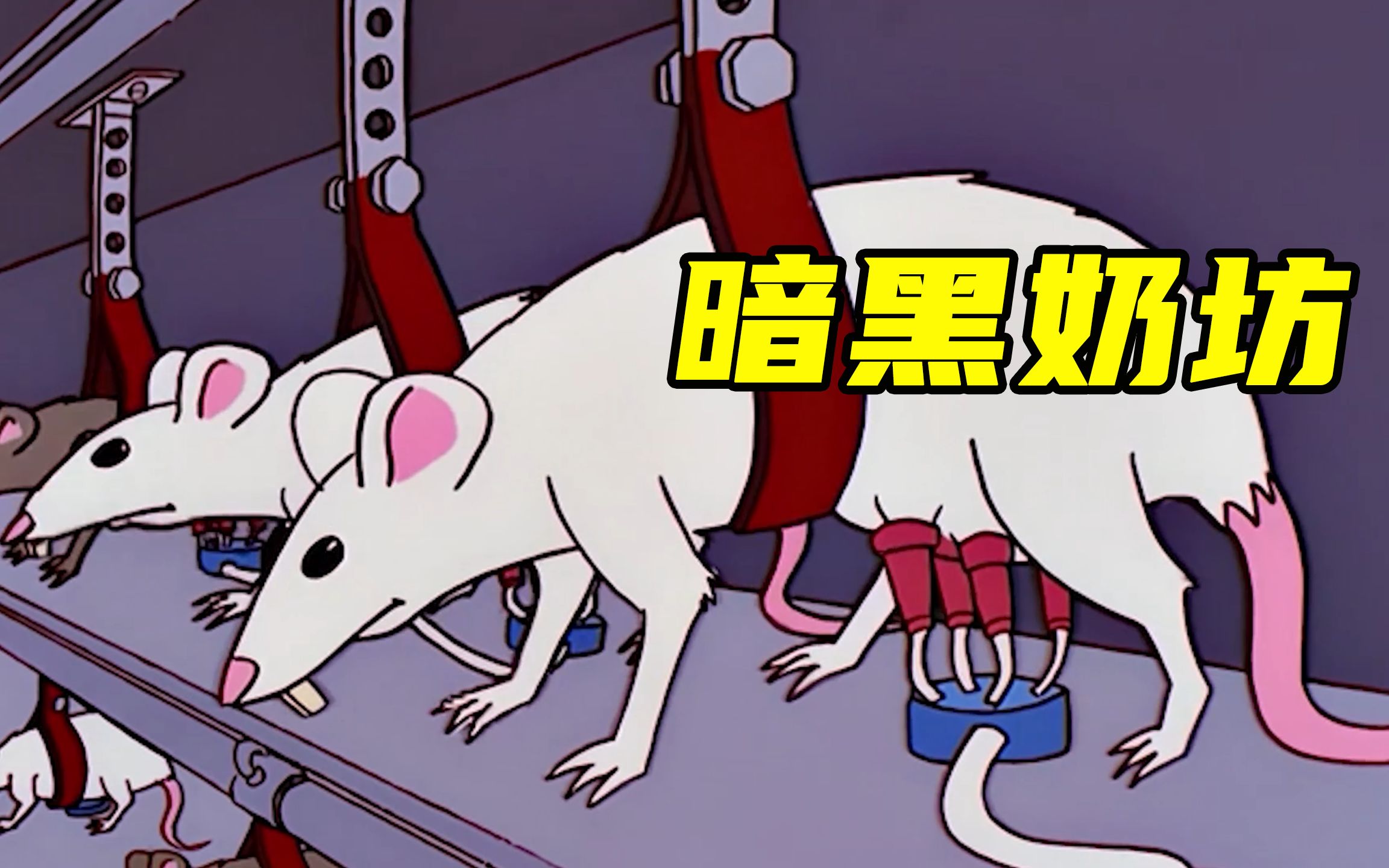 《猫和老鼠》这一集, 成年人看了铁定抑郁! 太扎心!|白猫|猫和老鼠|杰瑞_新浪新闻