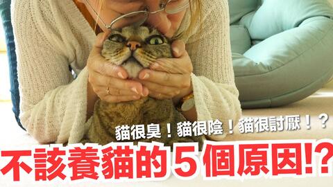 dd7c0da8433fa3e983fe1f912d3bfe84f70266dc.jpg@480w_270h_1c