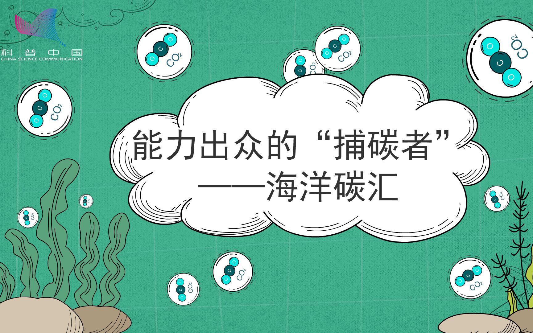 能力出众的“捕碳者”——海洋碳汇