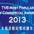 2013TVB最受欢迎电视广告大奖（大容量39P）