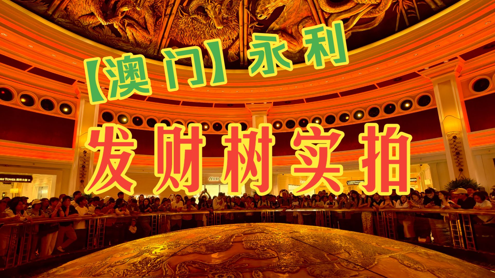 【澳门】永利酒店-发财树实拍