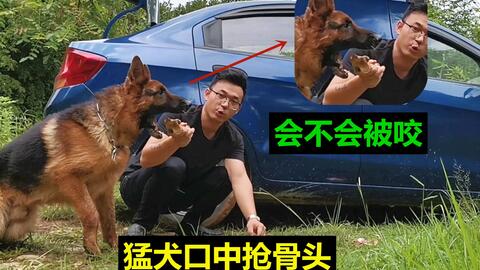 ddb04076c49c8a08c481d10161809fc26c44acc6.jpg@480w_270h_1c