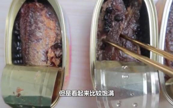 测评3款豆豉鲮鱼罐头 哪种才是广东人的心头好 你吃到的正宗吗