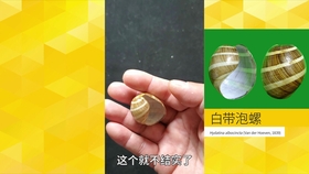 ddbad9aad1b4790436e272e2d011ddd7a225efa8.jpg@280w_158h_1c_100q.jpg