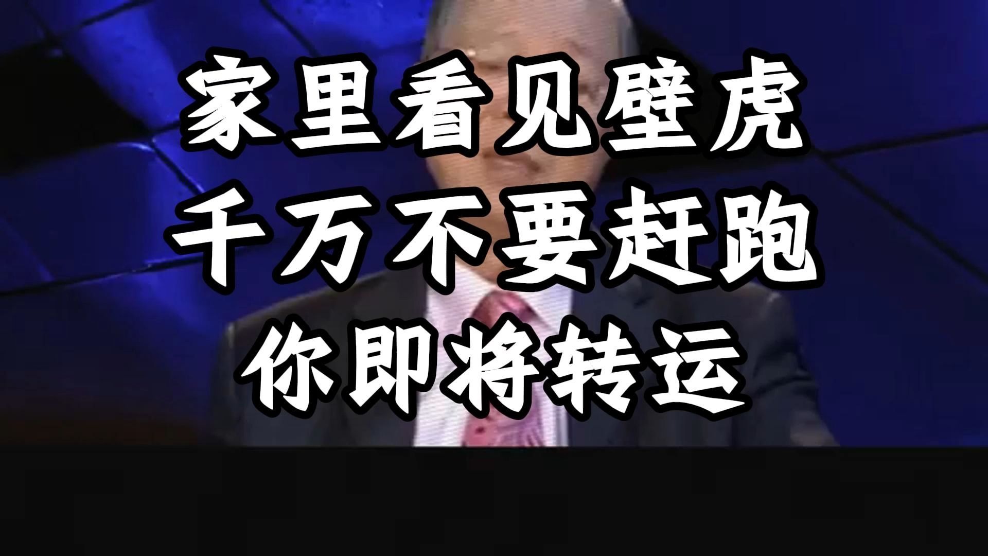 曾仕强教授：家中看见壁虎，千万不要打，你打掉的是你的福气！ 家中无形的守护神来了，你却因无知与恐惧将其赶走，这才是人生最大的损失，错过了改运的关键机会。