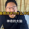 青春期的孩子为何容易冲动