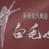 VCD芭蕾舞剧电影《白毛女》