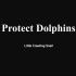Protect Dolphin 保护海豚小动画
