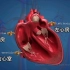 太神奇了，心脏泵血流经全身的过程，3D演示。。