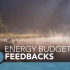 1.1.3 Energy budget feedbacks