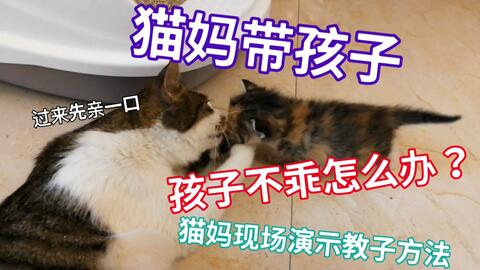 de260e24ea8b4eaeb6fa10b86e7863fefcb9a361.jpg@480w_270h_1c