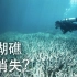 【大胆科学】如果世上所有的珊瑚礁都消失了？
