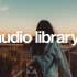 【Audio Library】音乐合集vlog无版权音乐|轻音乐BGM #Vlog No Copyright Music