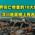 世界伤亡惨重的10大地震，有5个发生在中国，汶川地震榜上有名