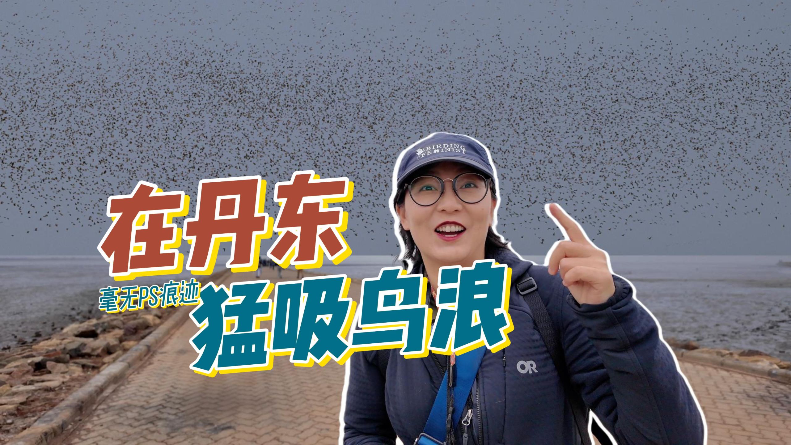 丹东鸟浪名不虚传，内陆鸟人大吃特吃