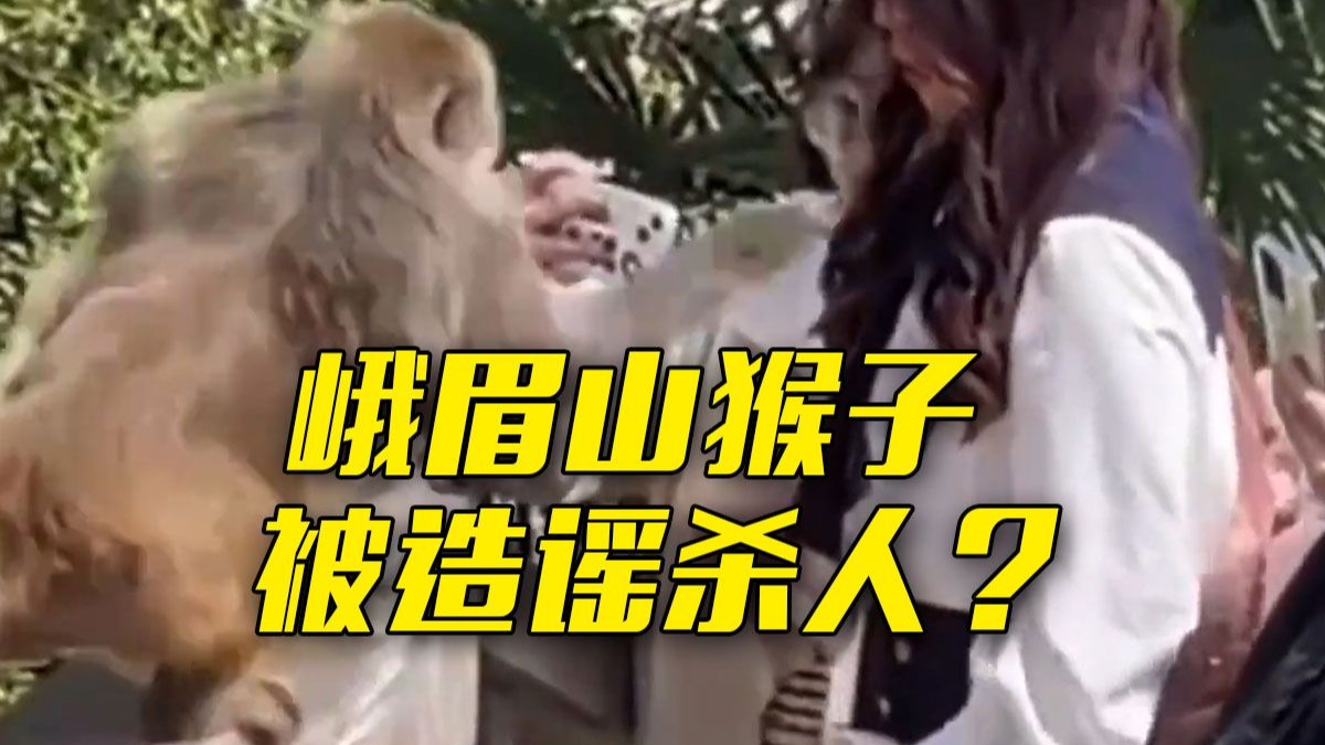 网传“人猴大战 峨眉山猴子被击毙”系谣言