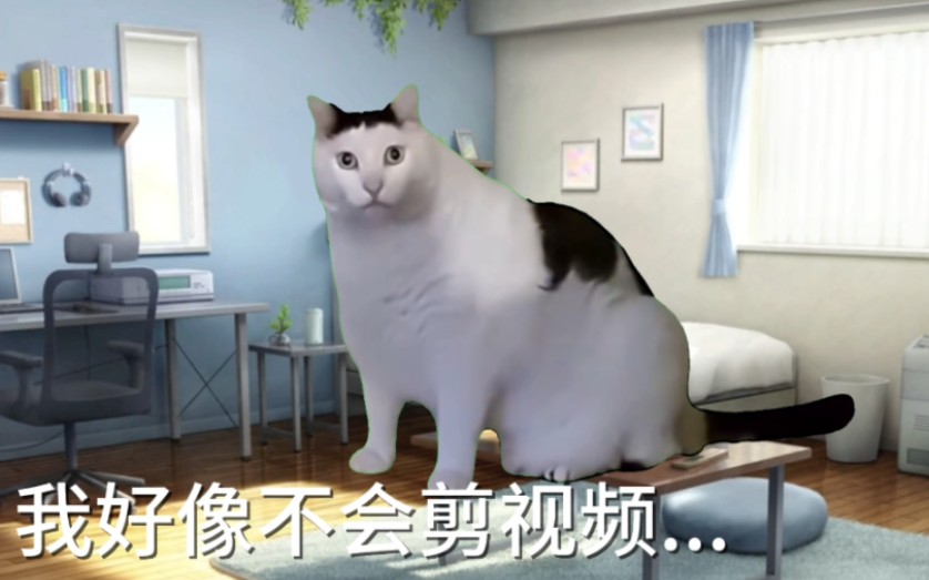 【猫meme】第一次做猫meme,做到好像不太好…