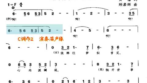 铁血丹心竹笛曲谱_铁血丹心古筝曲谱(3)