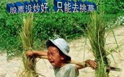 de81718496bb4aa481a5f3adc668a48ebd17c76f.png@280w_158h_1c_100q.jpg