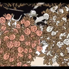 【MV】Ray of Night／Rose Panna