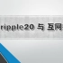 【网络信息安全】ripple20 与 护网技术